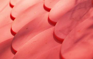 Vogue plastic roof costs