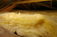 Vogue pitch roof insulation